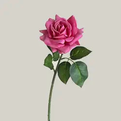 Hot Sale Real Touch Artificial Single Rose Colorful Rose Stem Halloween Valentine's Day Factory Wholesale Roses - Total Length 42CM / 05-Rose Red