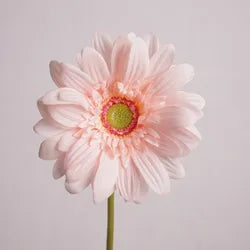 Wholesale Home Decor Table Pieces Single Branch Latex Gerbera Artificial Real Touch Flower White Gerbera - Height 65CM / 02-Light Pink