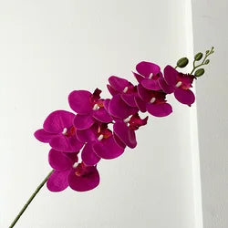 High Quality Real Touch 9 Head Artificial Phalaenopsis Flowers Big Blooms Orchid Flowers Leaves Stem Plants for Home Wedding - Height 98CM / 06-Purple