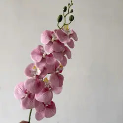 High Quality Real Touch 9 Head Artificial Phalaenopsis Flowers Big Blooms Orchid Flowers Leaves Stem Plants for Home Wedding - Height 98CM / 12-Mauve