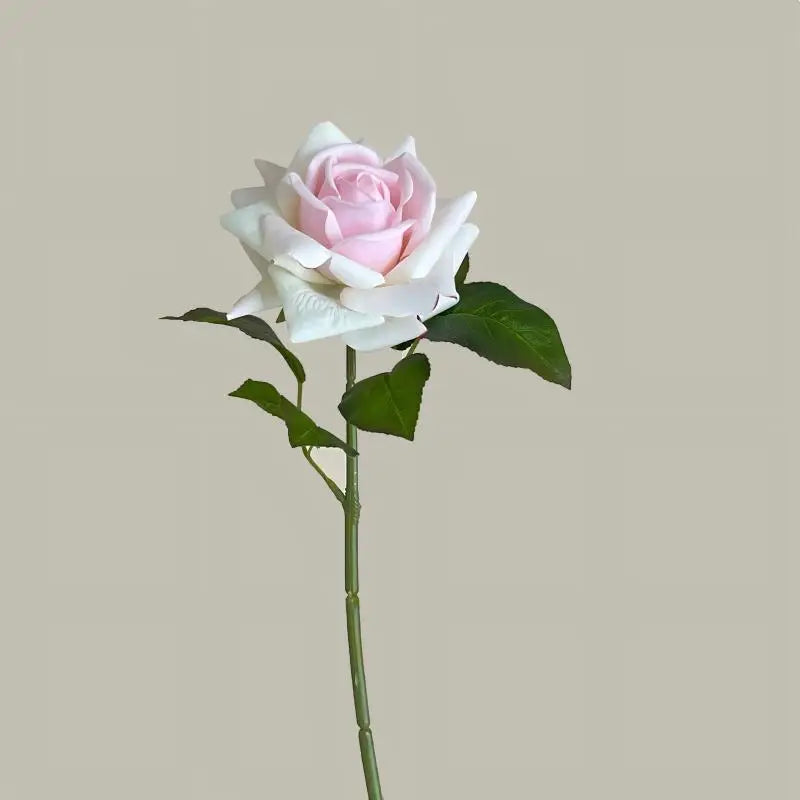 Hot Sale Real Touch Artificial Single Rose Colorful Rose Stem Halloween Valentine's Day Factory Wholesale Roses