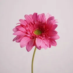 Wholesale Home Decor Table Pieces Single Branch Latex Gerbera Artificial Real Touch Flower White Gerbera - Height 65CM / 04-Rose Red