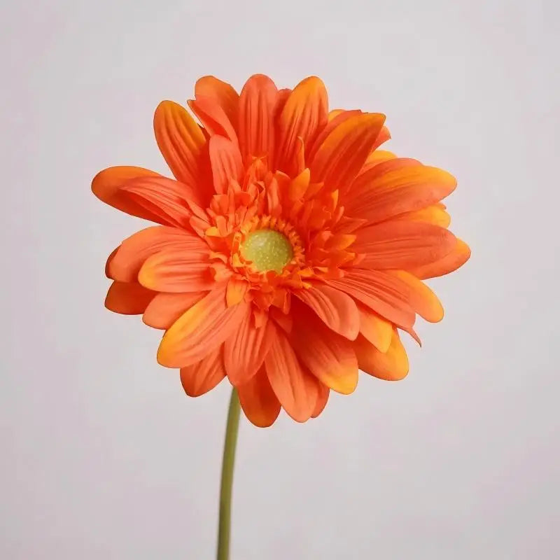 Wholesale Home Decor Table Pieces Single Branch Latex Gerbera Artificial Real Touch Flower White Gerbera