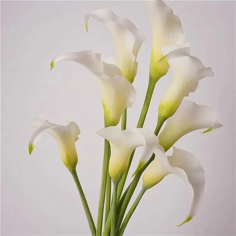Hot Sale Real Touch Calla Lily Flower Artificial Latex Calla Lily for Wedding Home Table Event Decor