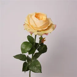 High Quality Real Touch Roses Long Stem Red Ivory Rose Real Touch Faux Flowers for Wedding Home Decorations - Total Length 69CM / 06-Champagne Color