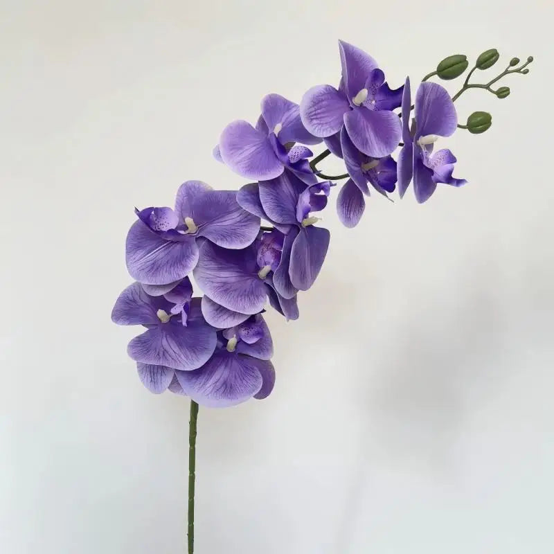 High Quality Real Touch 9 Head Artificial Phalaenopsis Flowers Big Blooms Orchid Flowers Leaves Stem Plants for Home Wedding
