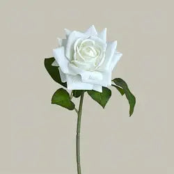 Hot Sale Real Touch Artificial Single Rose Colorful Rose Stem Halloween Valentine's Day Factory Wholesale Roses - Total Length 42CM / 01-White
