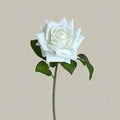 Hot Sale Real Touch Artificial Single Rose Colorful Rose Stem Halloween Valentine's Day Factory Wholesale Roses - Total Length 42CM / 01-White