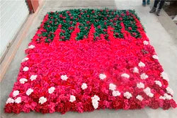 SPR Rose Flower Wall Roll up Red pink White Ombre Flower Wall Panels for Wedding Event Occasion Baby Showing - 1.2*2.4m / 2212
