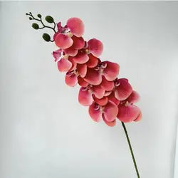 High Quality Real Touch 9 Head Artificial Phalaenopsis Flowers Big Blooms Orchid Flowers Leaves Stem Plants for Home Wedding - Height 98CM / 07-Grapefruit Color