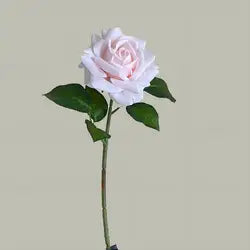 Hot Sale Real Touch Artificial Single Rose Colorful Rose Stem Halloween Valentine's Day Factory Wholesale Roses - Total Length 42CM / 02-Pink