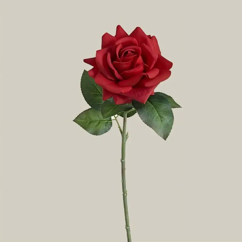 Hot Sale Real Touch Artificial Single Rose Colorful Rose Stem Halloween Valentine's Day Factory Wholesale Roses