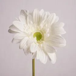 Wholesale Home Decor Table Pieces Single Branch Latex Gerbera Artificial Real Touch Flower White Gerbera - Height 65CM / 01-White