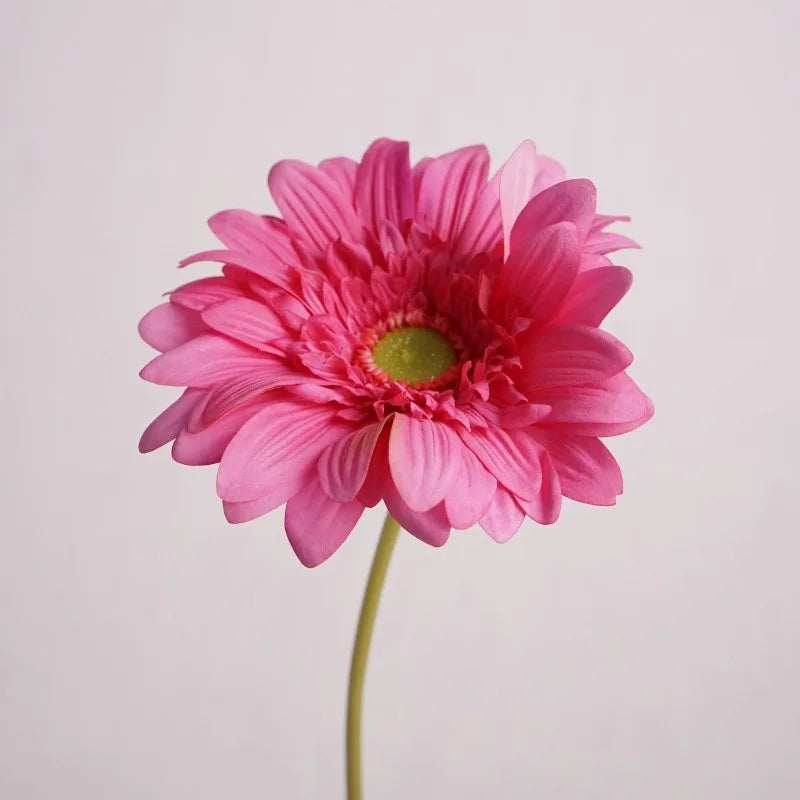 Wholesale Home Decor Table Pieces Single Branch Latex Gerbera Artificial Real Touch Flower White Gerbera