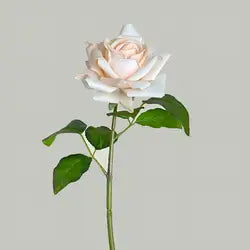 Hot Sale Real Touch Artificial Single Rose Colorful Rose Stem Halloween Valentine's Day Factory Wholesale Roses - Total Length 42CM / 09-Peach