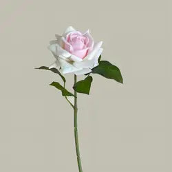 Hot Sale Real Touch Artificial Single Rose Colorful Rose Stem Halloween Valentine's Day Factory Wholesale Roses - Total Length 42CM / 08-Powder Pink