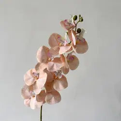 High Quality Real Touch 9 Head Artificial Phalaenopsis Flowers Big Blooms Orchid Flowers Leaves Stem Plants for Home Wedding - Height 98CM / 15-Beige