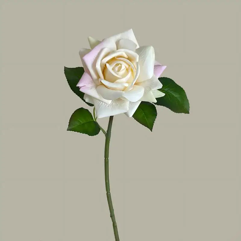 Hot Sale Real Touch Artificial Single Rose Colorful Rose Stem Halloween Valentine's Day Factory Wholesale Roses